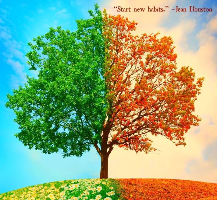 11167992_390814171117610_2144464456341095851_n