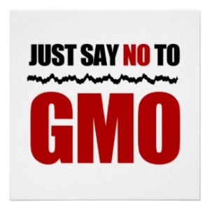 no to GMO's