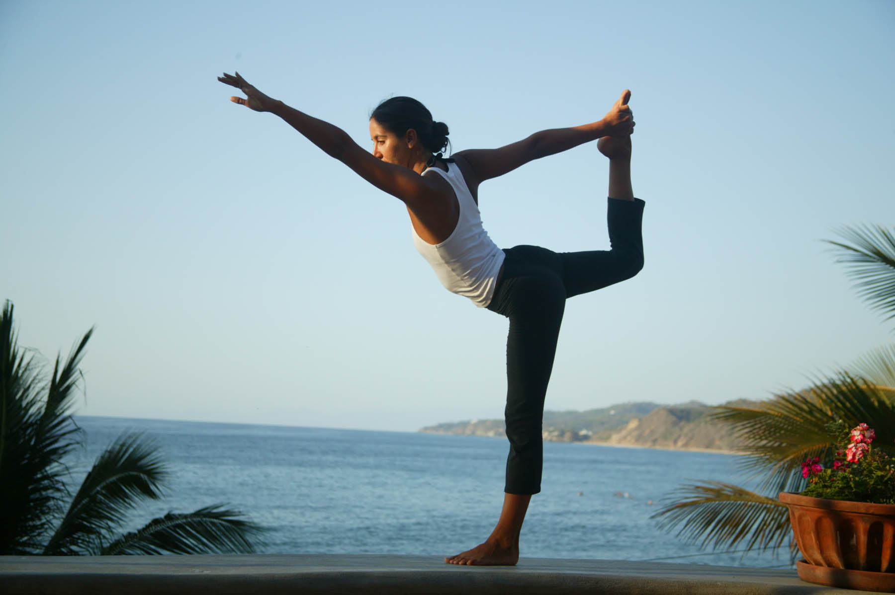 dhyana-yoga-origin