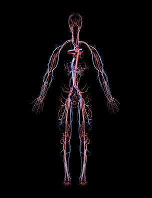 EFT Energy Pathways
