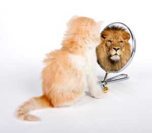 perception