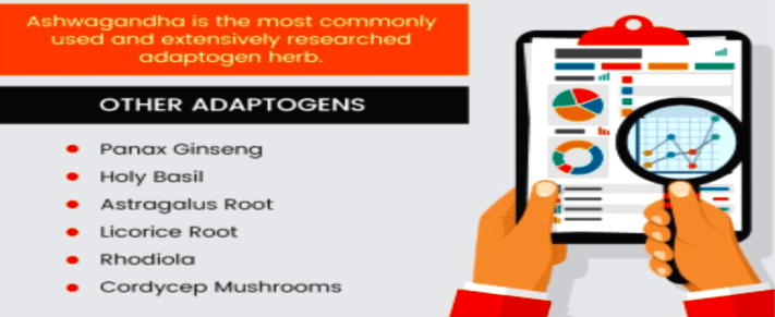 ASHWAGANDA - OTHER ADAPTOGENS